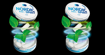 Best Nicotine Pouches UK