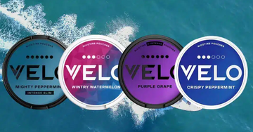 Nicotine Pouches UK – Variety of Flavours & Top Picks