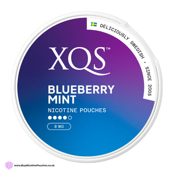 Blueberry Mint Nicotine Pouches by XQS