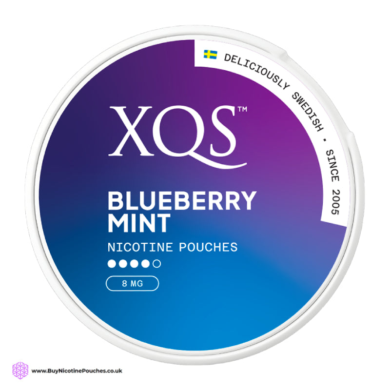 Blueberry Mint Nicotine Pouches by XQS