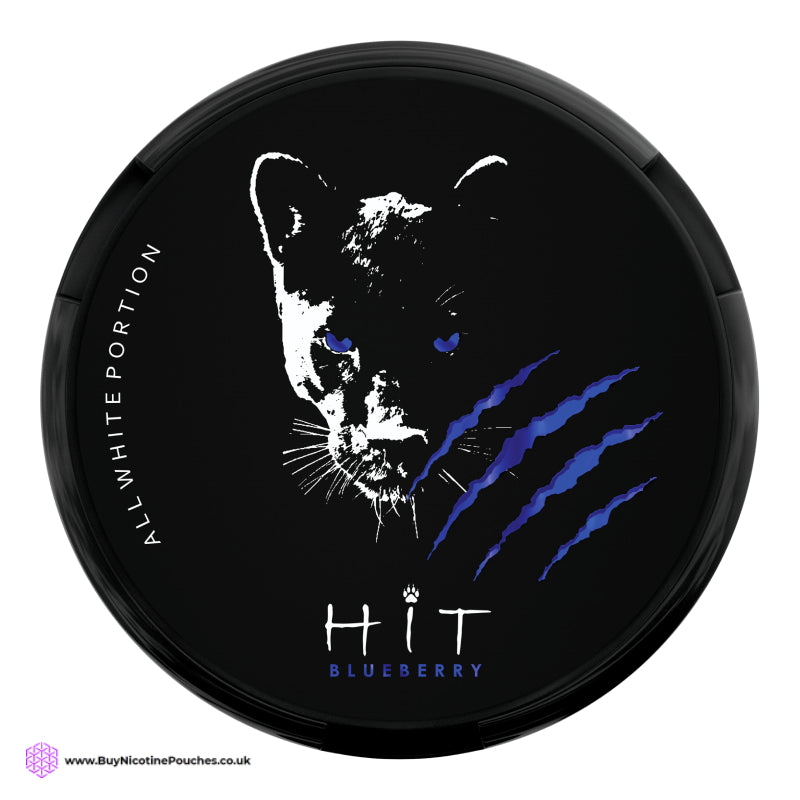 Blueberry Tight Nicotine Pouches by HIT