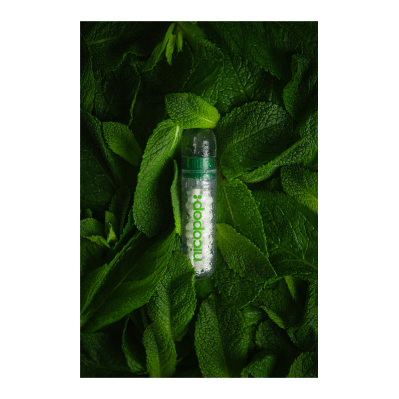 Fresh Mint Nicotine Pearls by Nicopop